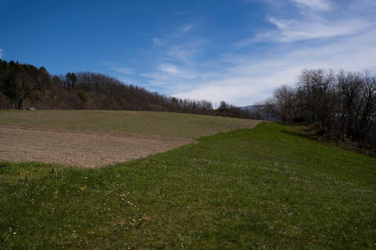 Farm stay 028 - 